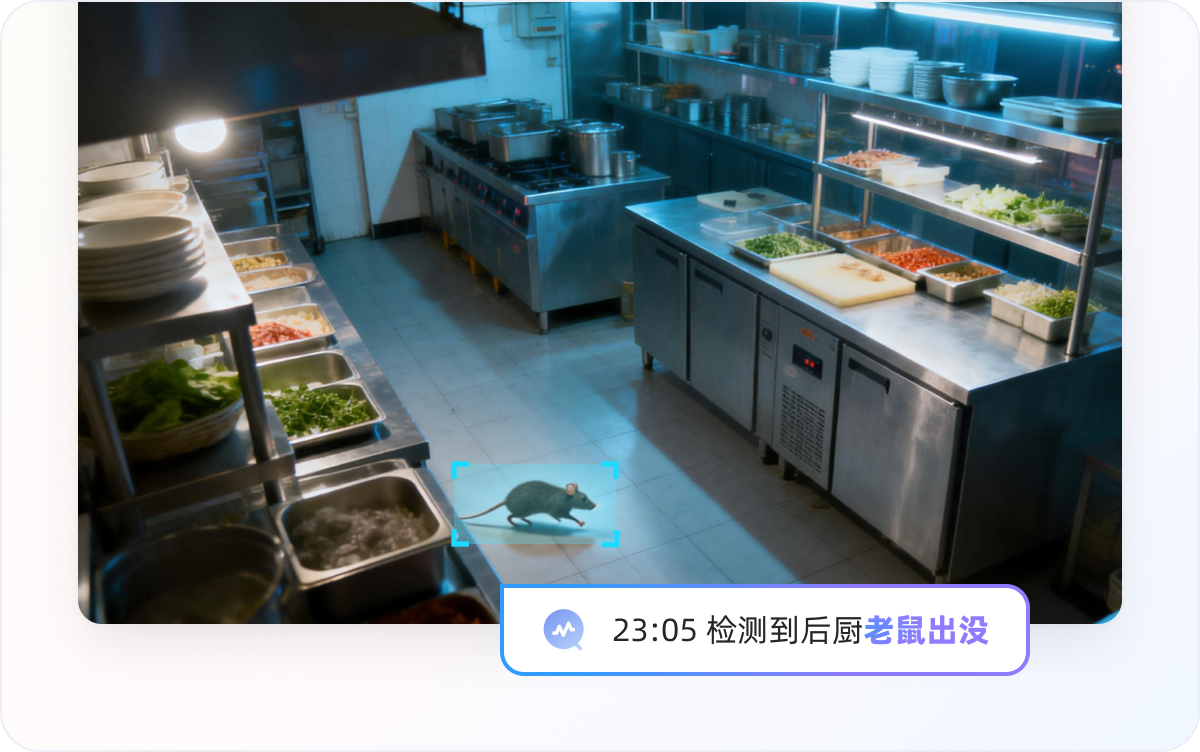 老鼠出没检测